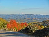 Toamna a transformat arborii în flăcări.
