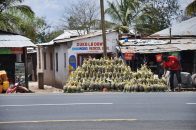 Ananas. Tanzania.