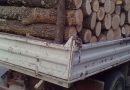 Bărbat din Mărtinești, prins cu lemnul din pădurea proprie fără acte și remorca neînmatriculată