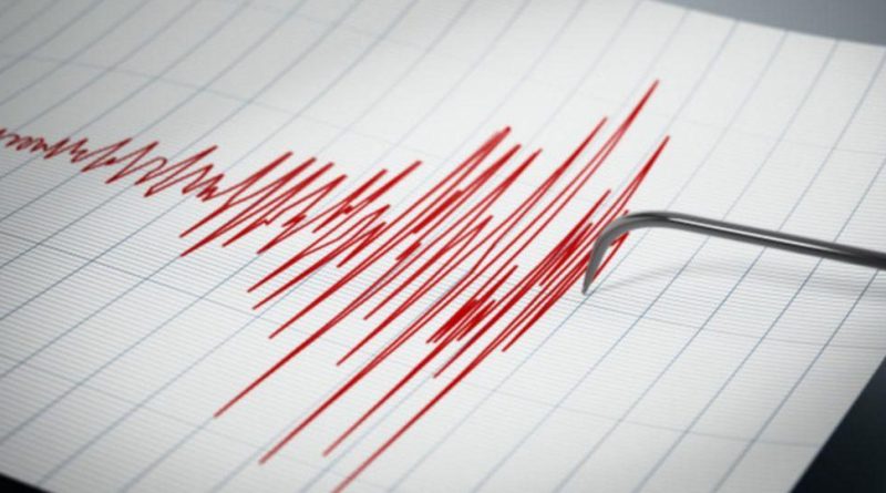 Cutremur cu magnitudine 4,9 în Gorj