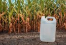 Peste 50 de litri de produse pentru protecția plantelor expirate, descoperite la Orăștie