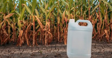 Peste 50 de litri de produse pentru protecția plantelor expirate, descoperite la Orăștie