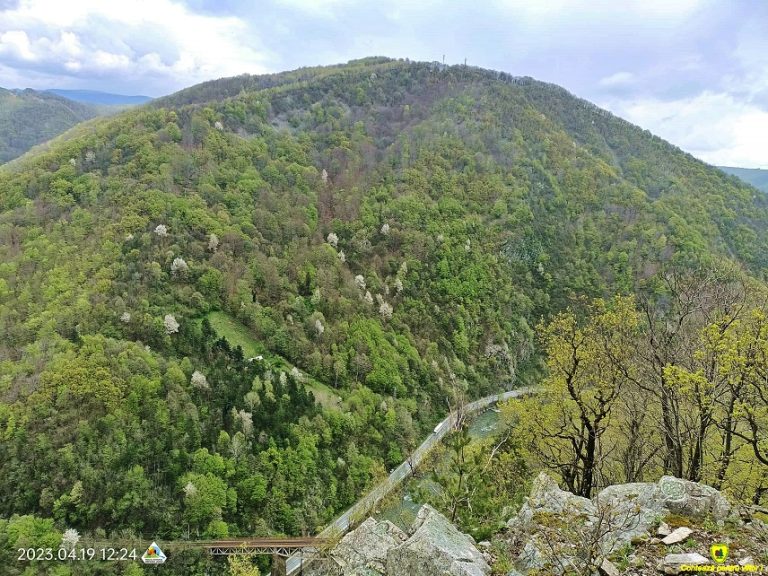 Defileul Jiului, în alertă din cauza secetei. Patrulele au fost intensificate