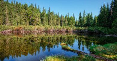 Statutul de destinație ecoturistică zonei Țara Hațegului, prelungit pentru încă 3 ani