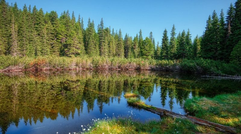 Statutul de destinație ecoturistică zonei Țara Hațegului, prelungit pentru încă 3 ani