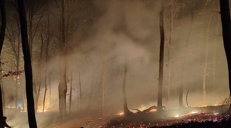 Zece incendii de vegetație, în 24 de ore