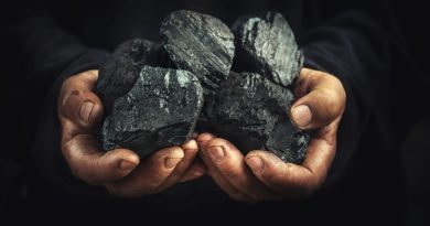 Sebastian Burduja: România nu poate renunța la producția de energie electrică pe bază de cărbune