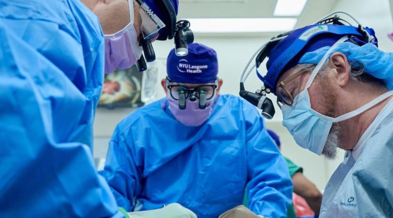 Un transplant de rinichi de porc a fost efectuat, pentru a doua oară, la o persoană în viaţă