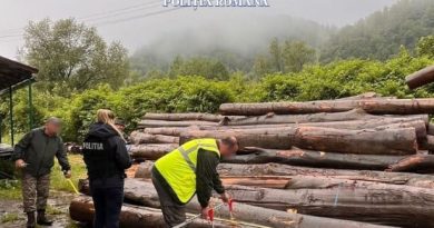Abateri și sancțiuni, în domeniul exploatării materialului lemnos, din zonele Lăpugiu de Jos, Lunca Cernii de Jos și Cerbăl