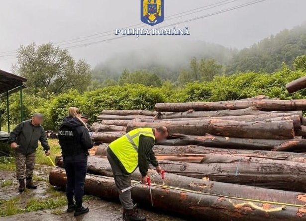 Abateri și sancțiuni, în domeniul exploatării materialului lemnos, din zonele Lăpugiu de Jos, Lunca Cernii de Jos și Cerbăl