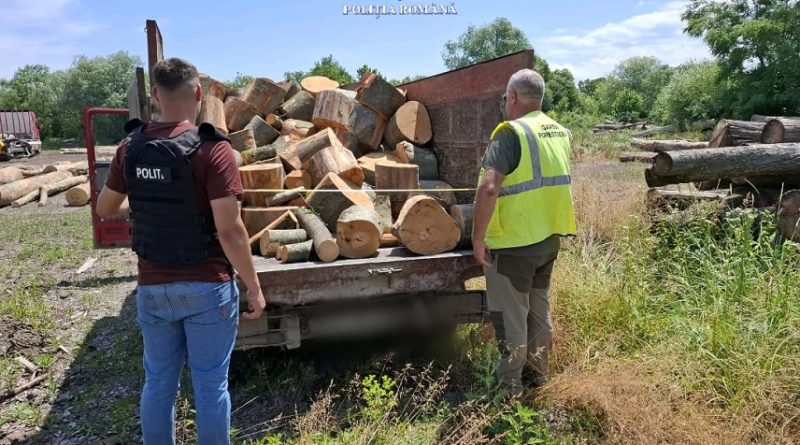 AMENZI LA AFACERILE CU LEMN AMENZI LA AFACERILE CU LEMN