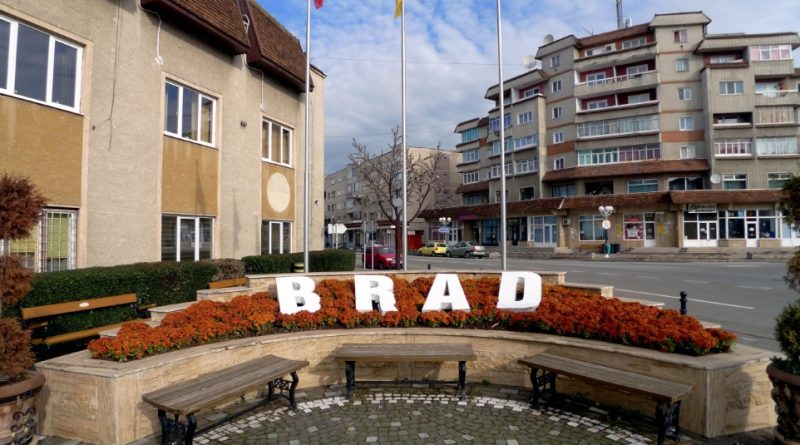 Brad: tânăr reținut după tentativa de furt a unei autoutilitare din curtea unei brutării