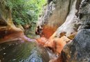 Cod galben prelungit de caniculă. Județul Hunedoara rămâne afectat și în zilele următoare