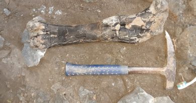 DESCOPERIRE PALEONTOLOGICĂ EXCEPȚIONALĂ