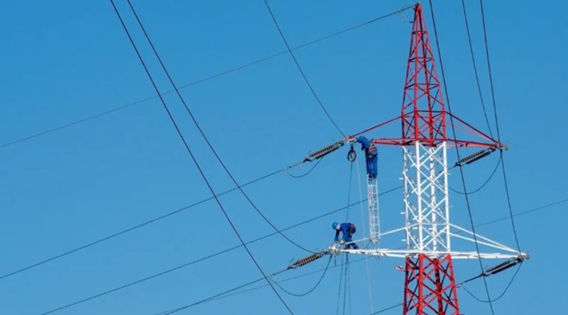 Rețeaua electrică din Parcul Național Retezat va fi mutată în subteran pentru protejarea păsărilor