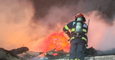 Incendiu la o locuință din Săcărâmb: acoperișul unei case, cuprins de flăcări