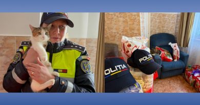 Pentru doi copii și mama lor, sărbătorile au venit cu speranță