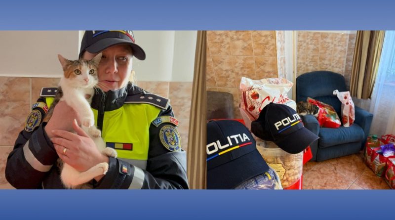 Pentru doi copii și mama lor, sărbătorile au venit cu speranță