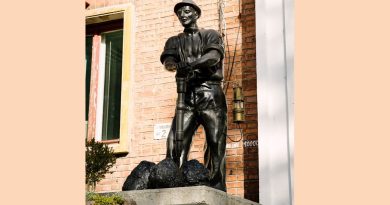 Legea Decarbonării promulgată. Detalii tehnice complete