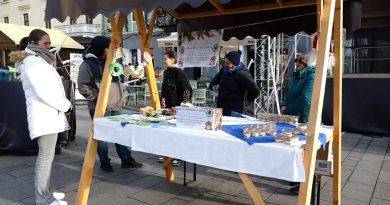 PROIECTUL DEVA PENTRU COPII