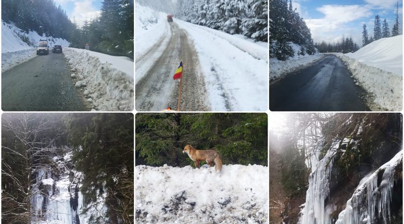 Zăpada și gheața transformă DN 7A într-un peisaj de poveste