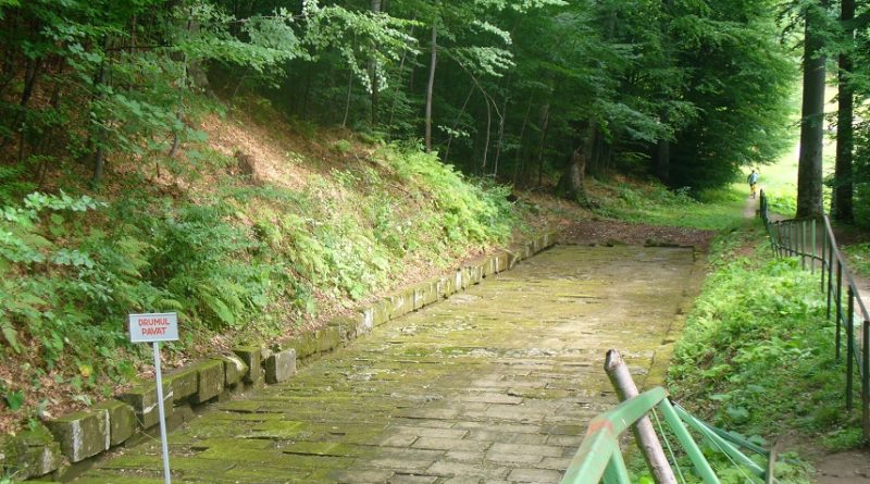 OFERTE PENTRU SARMIZEGETUSA REGIA