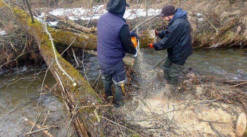 Apele Române Jiu intervin pentru deblocarea albiilor afectate de creșterile de debit