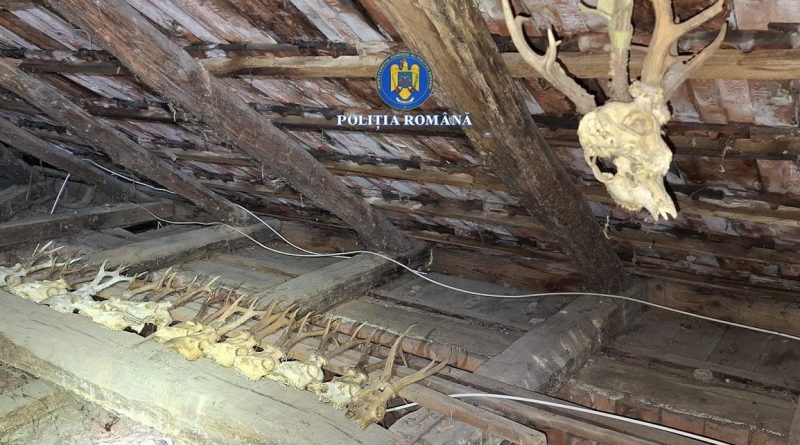 PERCHEZIȚIE LA RIBIȚA