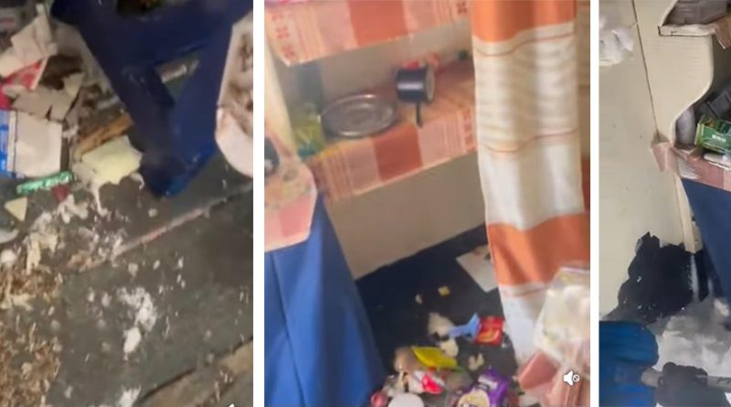 Imaginile nesimțirii. Refugiul Bucura plin de gunoaie