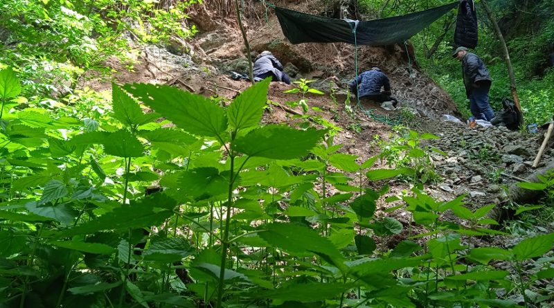 DINOZAURUL „ASCUNS”