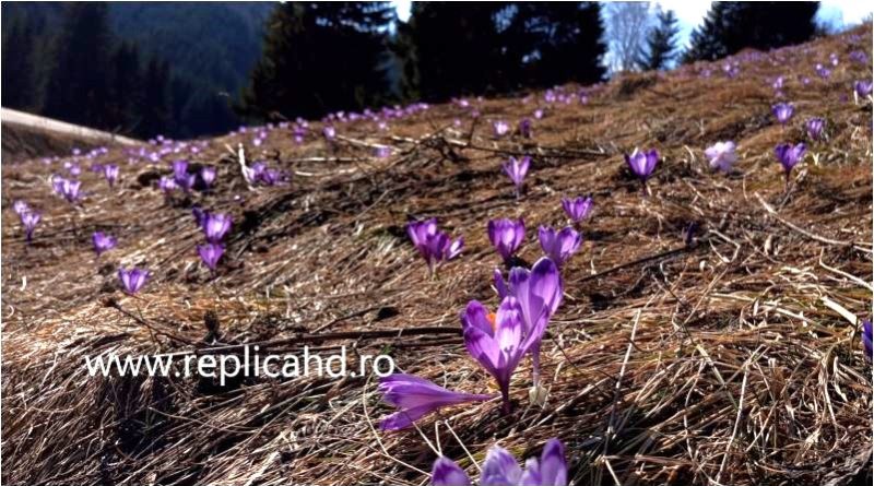 Vremea se va încălzi treptat