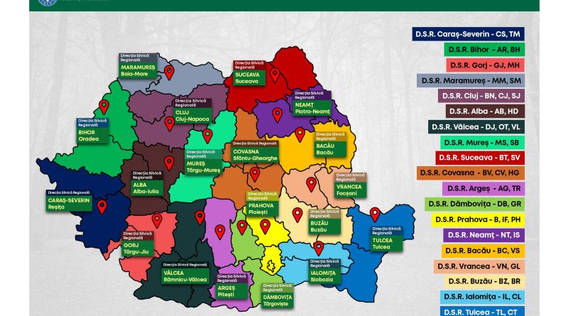 Lovitură pentru județul Hunedoara – pădurile județului vor fi administrate de la Alba Iulia