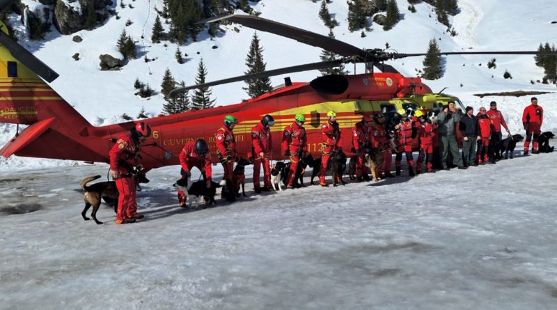 ALDO ȘI NOUA AU PROMOVAT