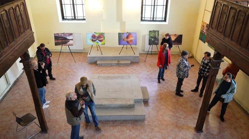 EXPOZIȚIA MEMBRILOR AAFH