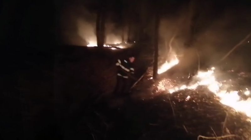 FOCUL ȘI INCONȘTIENȚA