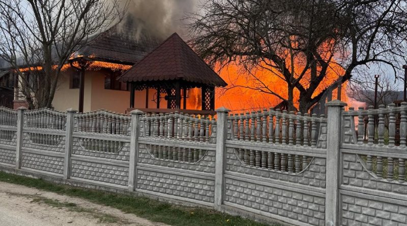 INCENDIU LA HĂRȚĂGANI