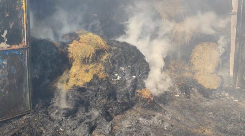 INCENDIU LA SARMIZEGETUSA