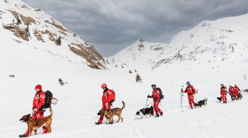 Unitățile canine ale Salvamont Hunedoara promovează examenul anual de avalanșă