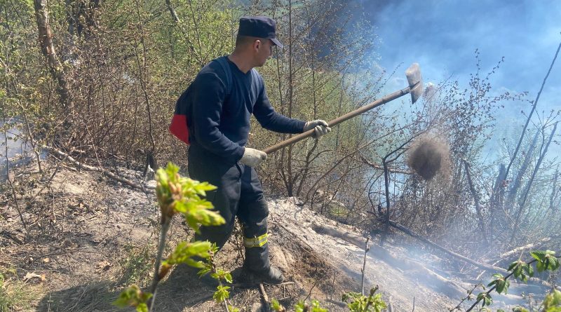 O suprafață de aproximativ 15 hectare afectată de un incendiu de litieră la Vața de Jos, pompierii intervin cu efective suplimentare