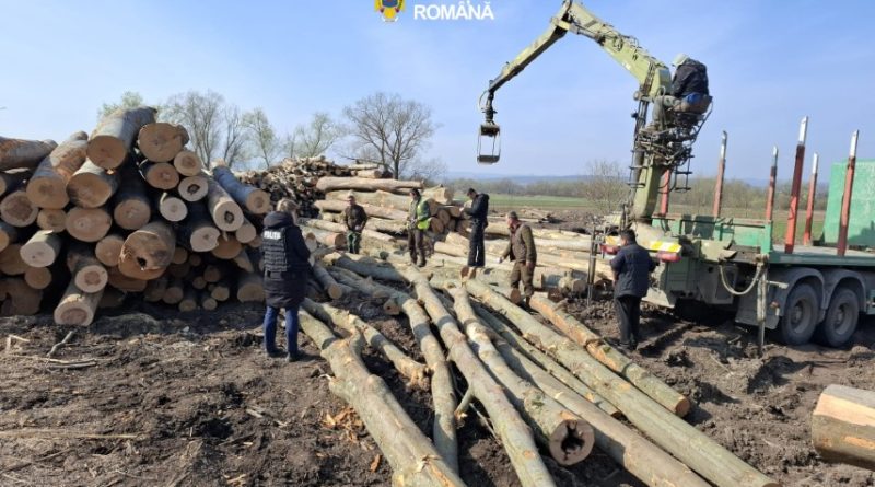 Percheziții la Simeria: nereguli grave la depozite de lemn, amenzi de 16.000 lei