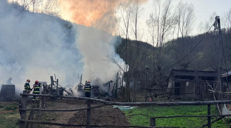 INCENDIU LA DUMBRAVA DE SUS