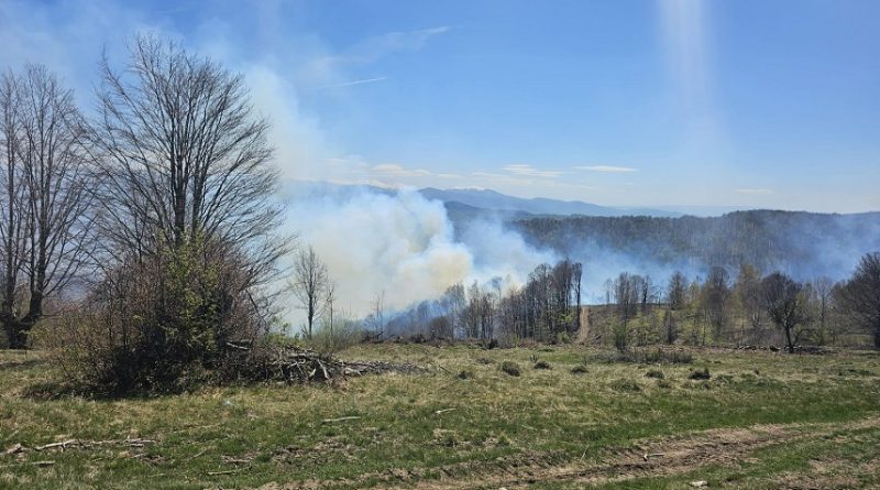 INCENDIU LA BUNILA ȘI LUNCA CERNII