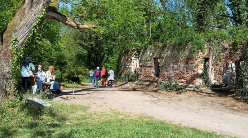 Parcul Dendrologic Simeria: darul naturii și semnele oamenilor