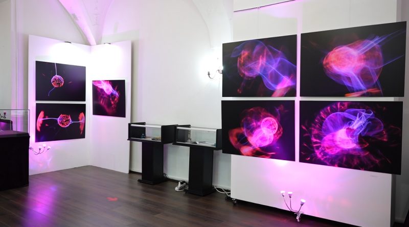 EXPOZIŢIE MULTIMEDIA ,,cuVântul”
