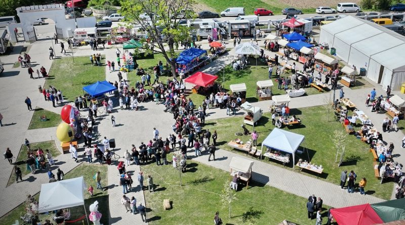 UN FESTIVAL DE ZILE MARI