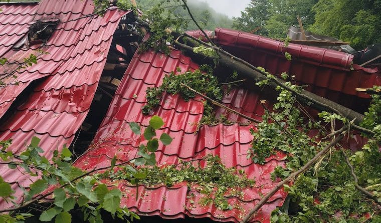 Locuință distrusă după ce un copac s-a prăbușit peste ea