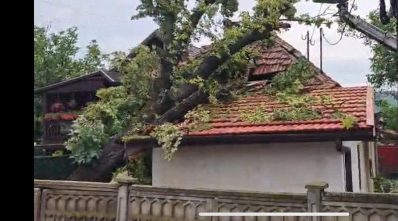 Zeci de intervenții pentru limitarea efectelor fenomenelor meteo, marți după-amiază