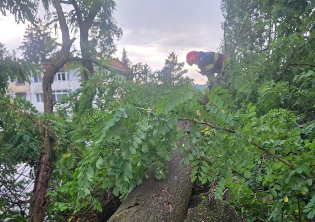 Codul Roșu de furtuni a produs pagube în județul Hunedoara. Pompierii au intervenit în mai multe localități
