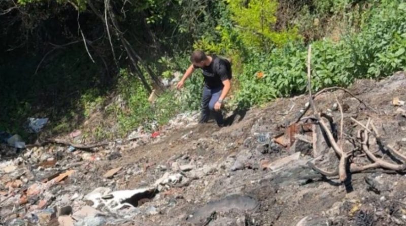 TĂIERI ILEGALE DE ARBORI ȘI FURT