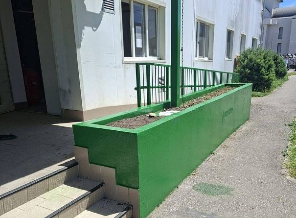 CURĂȚENIA DE VARĂ